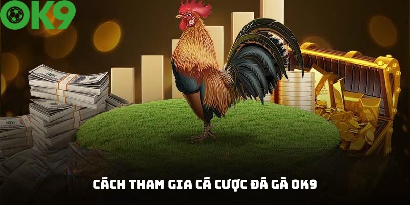 Hướng dẫn cách tham gia cá cược đá gà tại OK9