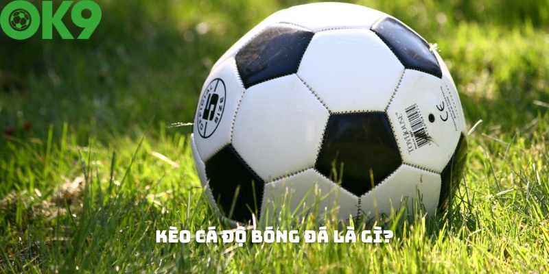 Khái niệm về kèo cá độ bóng đá