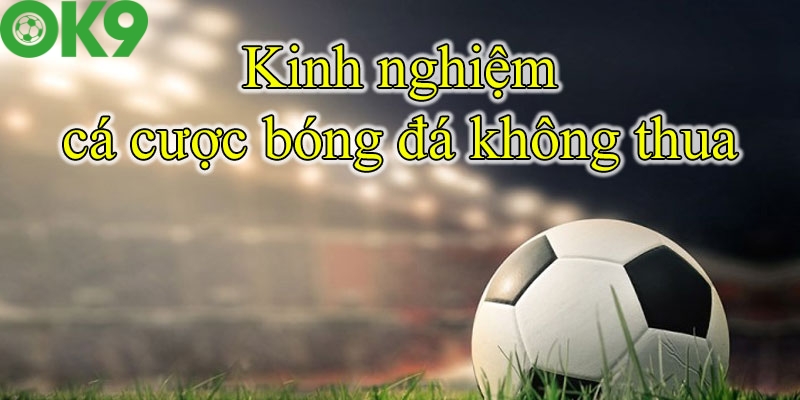 Kinh nghiệm cá độ bóng đá không thua cho cược thủ