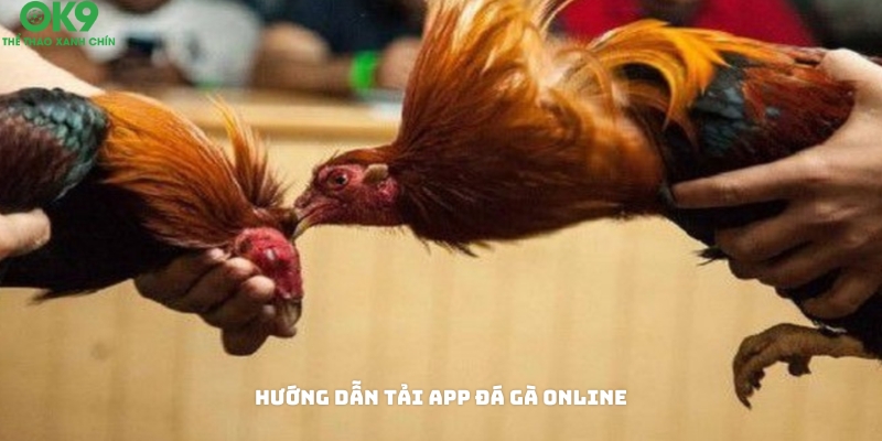 Cách tải app đá gà online về điện thoại